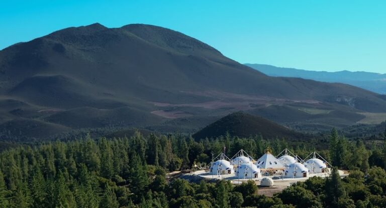 86391 13550afd366b 768x415