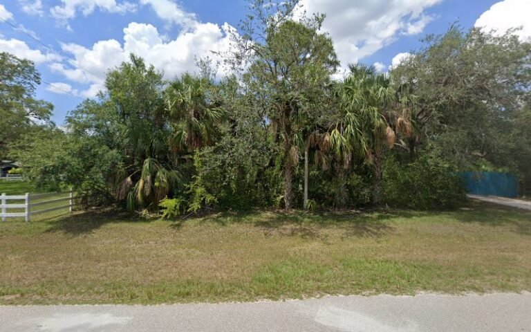 86466 de318ed7de4b 768x480