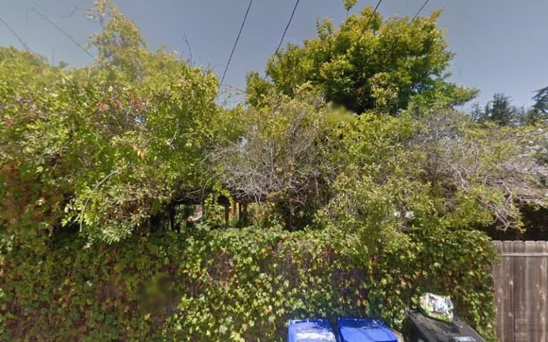 86950 6035747bed79 768x480