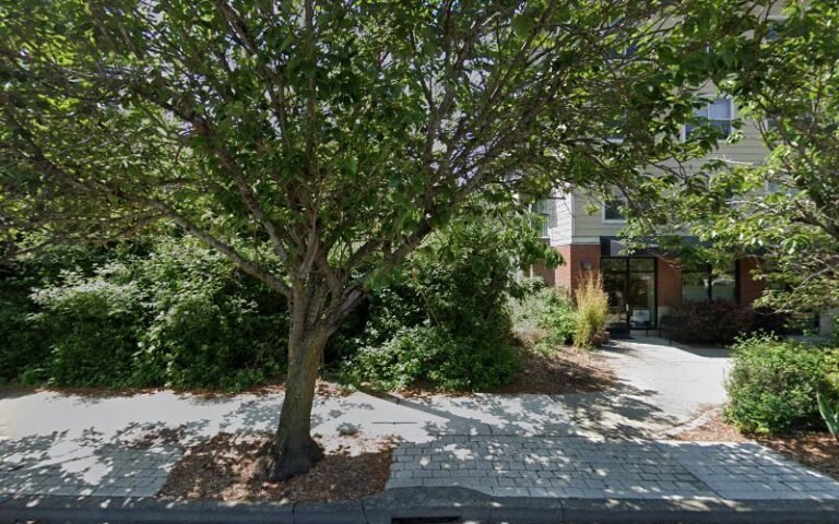 86996 db3a149a735a 768x480