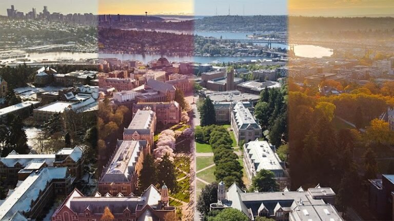 87235 b93b4fff2d0b 768x432