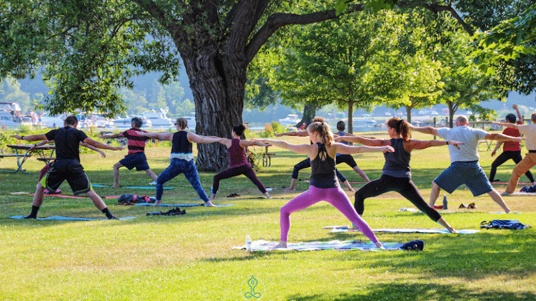 87259 63fabc338e97 768x432