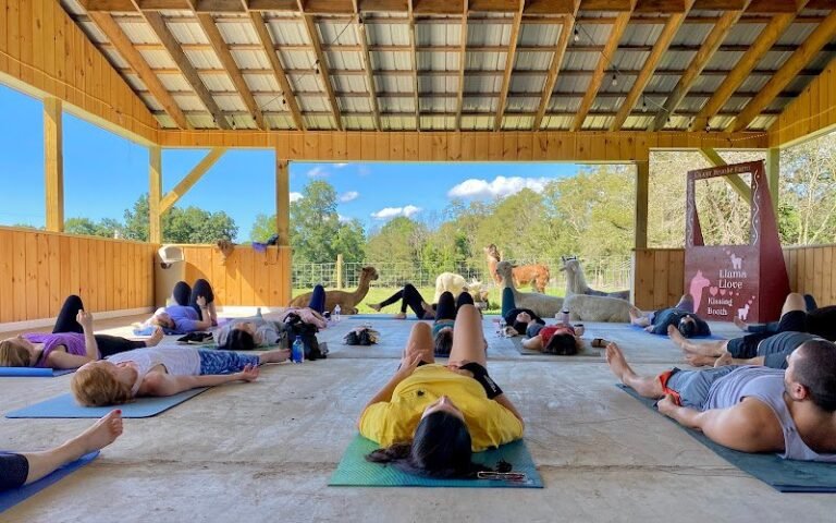 88289 1ca91d388e9a 768x480