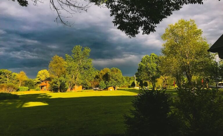 91175 1279c6ce3cb0 768x469