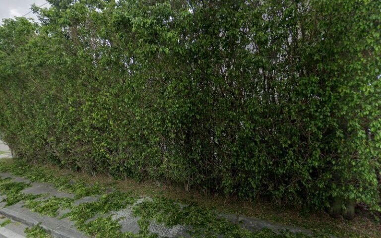 91748 d9fb15b18620 768x480