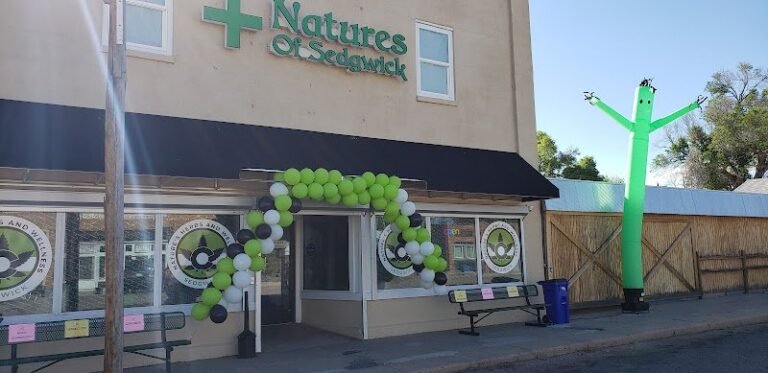 91887 87506c093a7e 768x373