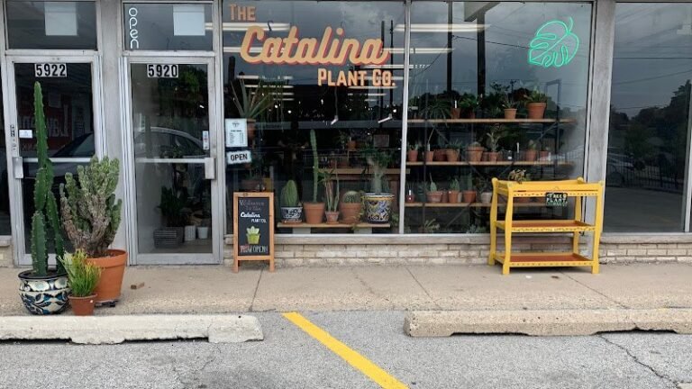 92128 ea5b8de6daf9 768x432